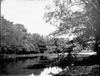 Lake on grounds of Judge Coursel's residence n.d.