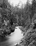 Spuzzum River [Creek] from the Cariboo Road/Photo prise du chemin Cariboo 28 July 1871