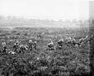 Sir Robert Borden watching an advance in the open. [Branshott, England, April, 1917] [Apr., 1917]