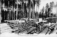 (Canadian Forestry Corps) Canadian Forestry Corps, Timber Yard, France, c. 1918 C. 1918
