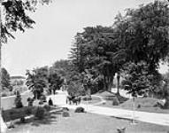 The Driveway and Grandstand, Ottawa, Ont 1910