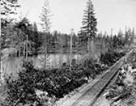 Long Lake near the Wellington Colliery railroad approximately 1878-1882.