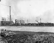 General view of James Shearer Co. Ltd., Montreal, P.Q 1918