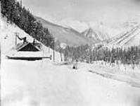 Glacier Station, B.C ca. 1900 - ca. 1939