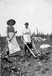 Settlers gardening 1935