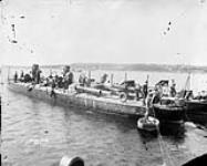 Torpedo boats [ca. 1901].