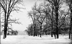 Winter scenery ca. 1865