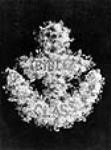 Floral decorations in the shape of an anchor 1876