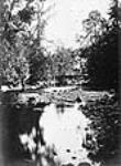 Bridge and pond in Jackson Park, Peterborough c.a. 1889