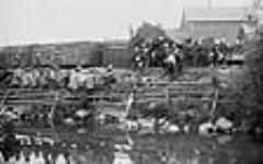 The wreck of the artillery train at Enterprise, Ontario, June 9th, 1903 9 June 1903