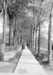 Lover's Walk 1905