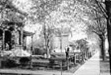 Corner of Albert and Commercial Streets 1905