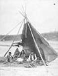 Stoney Indians at home 1906
