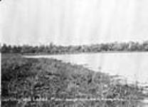 Darlingford Lakes, Manitoba 1908