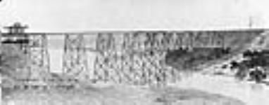 Panoramic view of the Canadian Pacific Railway viaduct at Lethbridge, Alberta 1909