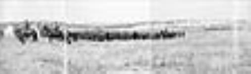 Panorama of Aldershot Camp, Nova Scotia 1913