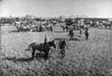 The Sandison farm 1892