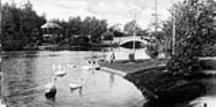Bridge and Bandstand, Beacon Hill Park ca. 1900-1925