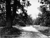 Drive in Park, Beacon Hill ca. 1900-1925
