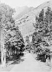Waterton Lakes National Park, Driveway and Mount ? ca. 1900-1925