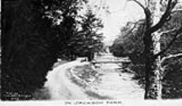 Jackson Park ca.1920