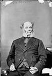 Hon. Walter Hamilton Dickson, Senator May 1878