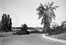 View of Lady Grey Drive [Ottawa, Ont.,] [1920's]