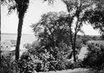 View from Mr. Matthew's house looking towards Ottawa Canoe Club and Driveway [Rockcliffe, Ont.] [1920's]