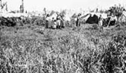 (Relief Projects - No. 14). Indian village near the Mud River 17 June 1933