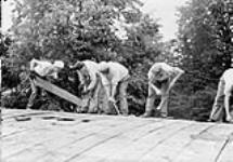 (Relief Projects - No. 30). Type of work in progress June 1933