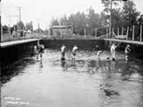 (Relief Projects - No. 30). Cleaning out the swimming pool Aug. 1934