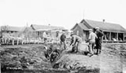 (Relief Projects - No. 39). Road work with the camp headquarters in the background May 1933