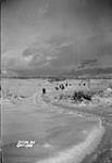 (Relief Projects - No. 58). Clearing the road out of camp Oct. 1933