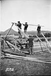 (Relief Projects - No. 58). Erecting a frame of a hut Aug. 1933
