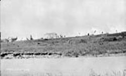 (Relief Projects - No. 93). General view of the camp July 1933