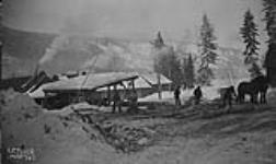 (Relief Projects - No. 97). Preparing camp 401 for occupation Feb. 1936