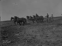 (Relief Projects - No. 107). Construction of intermediate landing field at Caddy Lake. Eight horses ploughing landing field with 20' plough June 1935