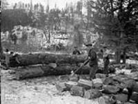 (Relief Projects - No. 154). Cutting firewood Nov. 1935