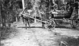 Canadian Gunners in wagon, Northern Russia, 1919 1919
