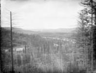 View up the Blackwater [West Road] River B.C., from the bridge 1875
