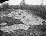 Contorted gneiss near Ferry landing opposite Montebello, Alfred Township, Prescott County, Ont