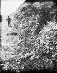 Miocene Conglomerate Bone Coulée, Cypress Hills, Sask., 1884