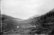 Pass between Panther and Red Deer Rivers; view looking Northwest, Alta 21 Sept. 1884