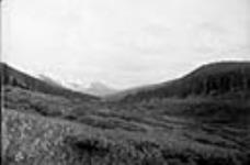 Pass between Panther and Red Deer Rivers; view looking Southwest, Alberta 21 Sept. 1884