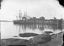 Coal pier, Nanaimo, B.C 1871
