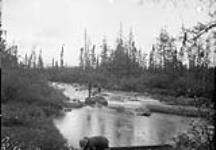 Canoe River between Hatchet and Reindeer Lakes, (Sask.) 1892