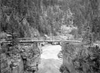 Elko Canyon bridge, B.C 1900
