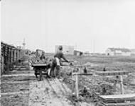 Wire rope brick carrier, Winnipeg, Man 1910