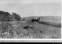 Peace River Farmer, alberta