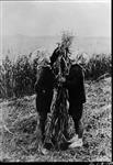 Children in an Alberta oat field. [1927]